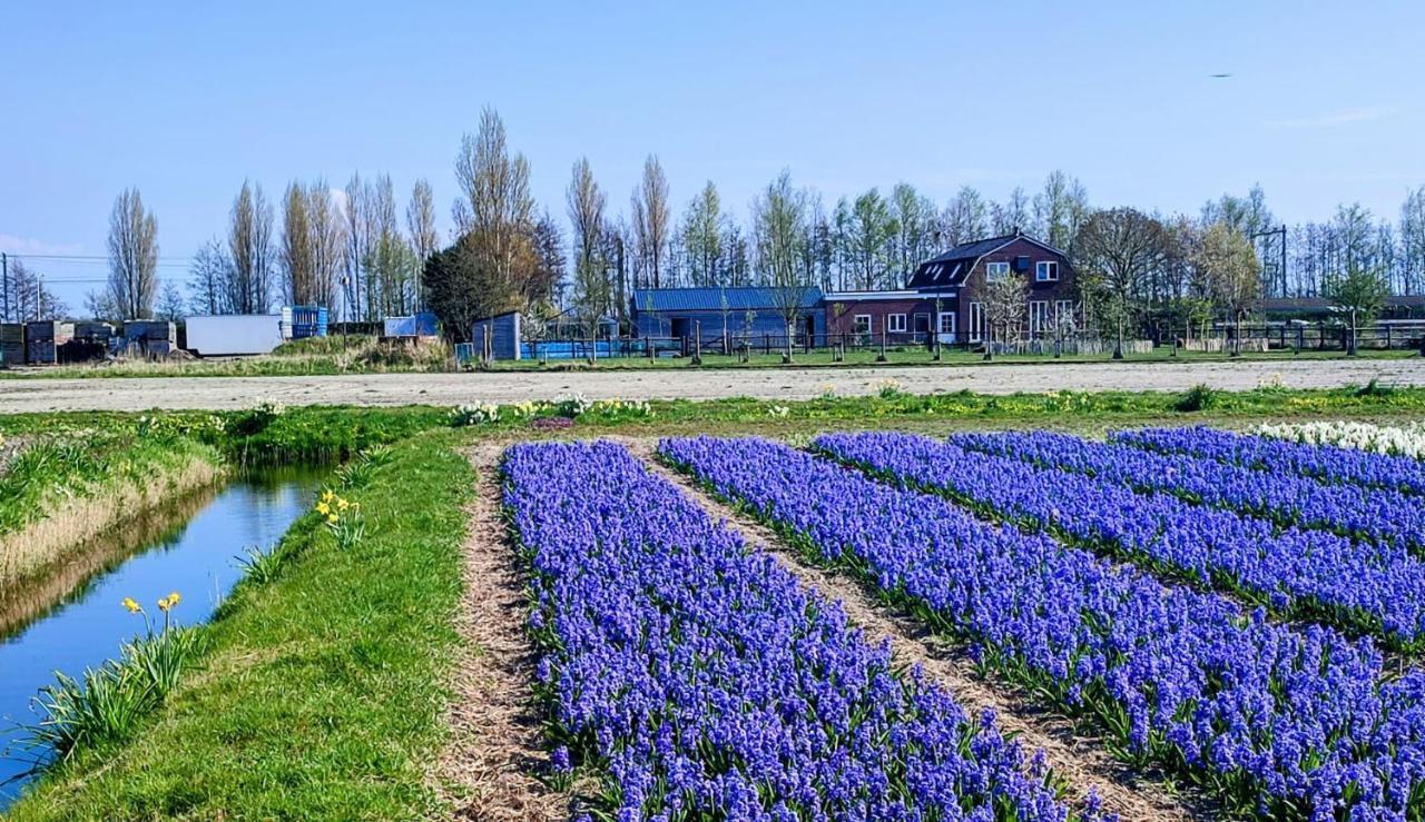 Villa Het Dijkstuk Noordwijkerhout Exterior foto